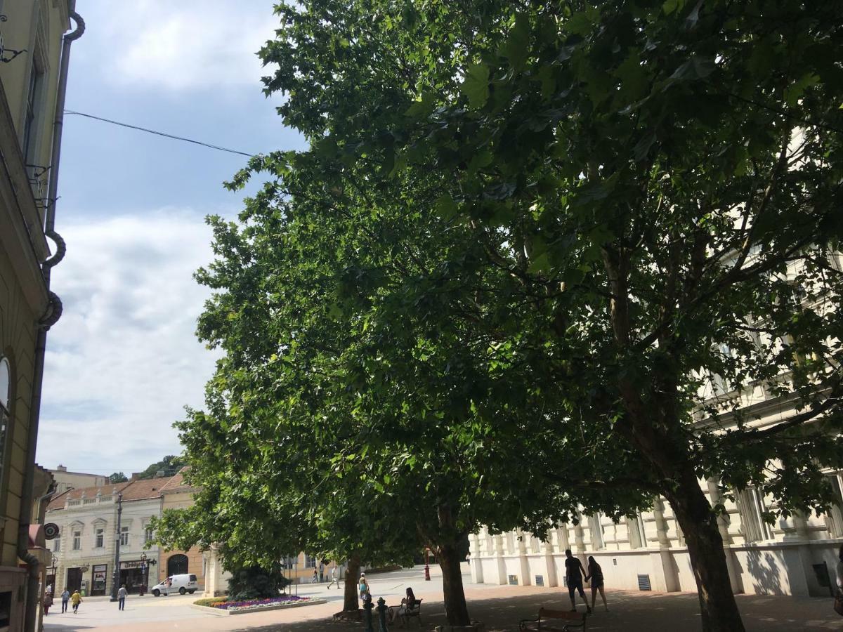 Mse Apartman Мисколк Екстериор снимка